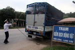 Cả nước có 20 tỉnh, 65 ổ dịch, 61.611 con gia cầm mắc bệnh, chết