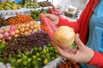 Trung Quốc “tố” ngược hoa quả, bánh kẹo Việt Nam 