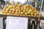 Nhập siêu từ Trung Quốc tăng 110 lần sau 12 năm
