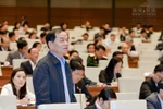 Đã có phiên tòa nào xử giới thiệu và bổ nhiệm nhầm người chưa?