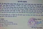 Quyết định của tòa án quận 5 đơn giản chỉ là để bảo vệ riêng công ty Thành Bưởi