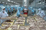 Thủ tướng chỉ đạo xử lý việc hàng thủy sản bị nước ngoài trả về