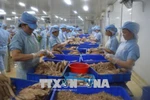 Triển khai thi hành Luật Lâm nghiệp, Luật Thủy sản