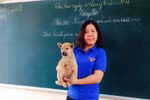 Cách dạy của cô giáo thích bê thú cưng lên lớp trong tiết học văn