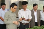 Dẹp bỏ tư tưởng rau hai luống, lợn hai chuồng