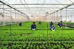 Thủ tướng Chính phủ trả lời chất vấn Đại biểu Quốc hội Nguyễn Tạo