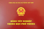 Từ nay giao cấp phôi bằng phổ thông cho Cục quản lý chất lượng