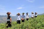 Miễn học phí bậc trung học cơ sở khó thành vì 3 bộ lo không có tiền