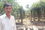 Sau Xin Chào, vụ án “cái lều vịt” có còn nhỏ như móng tay?