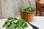 5 cách chữa sỏi thận từ nguyên liệu tự nhiên