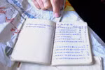 “Mực xanh, mực đen không quan trọng, miễn là viết chữ Trung Quốc”!