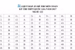 Gợi ý đáp án các mã đề thi môn Toán