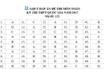Gợi ý đáp án các mã đề thi môn Toán