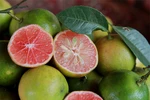 Tác dụng ít biết của chanh đào 