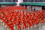 1000 tù nhân cuồng nhiệt nhảy Gangnam Style