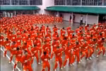 1000 tù nhân cuồng nhiệt nhảy Gangnam Style
