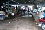Chợ vắng hoe người bán cá biển