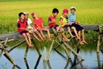 Không học hè, trẻ biết làm gì?