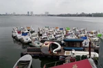 Hà Nội: Doanh nghiệp bị đóng cửa bất ngờ, hàng trăm người lo mất việc