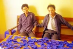 Khám phá vụ vận chuyển 24.000 viên ma túy tổng hợp qua biên giới