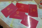 Nhiều nơi đang vi phạm, bắt giáo viên phải học chứng chỉ tin học, ngoại ngữ 