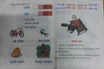 NXB Giáo dục trả lời "lo lắng cho tương lai" khi con trẻ học sách GS.Hồ Ngọc Đại