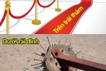 Trên thảm, dưới đinh, ở giữa linh tinh vừa còng vừa … lệ 