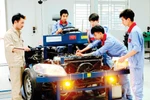 Doanh nghiệp cung cấp thông tin nhu cầu nhân lực để được hỗ trợ