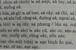 Từ điển chính tả... sai chính tả