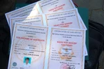 Mẫu bằng tốt nghiệp trung cấp, cao đẳng nghề mới
