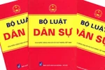 Làm luật – chuyên nghiệp hay nghiệp dư?