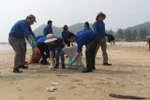 Bờ biển bốc mùi hôi, dân gom cá chết bán cho thương lái