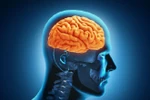 Những bí ẩn về cơ thể bạn chưa biết
