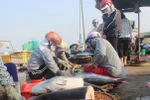 Cá biển đánh bắt xa bờ bán chạy, hết hàng