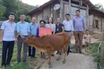 Buộc giáo viên ủng hộ tiền giúp dân xóa nghèo có phải cách làm hay?