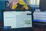Ảnh Đỗ Quyên