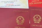 Ảnh minh họa: Thông tấn xã Việt Nam)