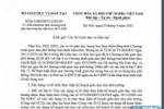 (ảnh chụp tài liệu)