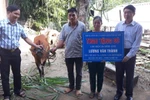 Giáo viên ở Kỳ Sơn được giảm một nửa tiền đóng góp ủng hộ mua bò