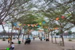 Ảnh Phan Tuyết