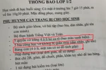 Làm sao dẹp được biến tướng "đồng phục" trong trường học?