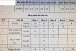 Tiểu học ra đề kiểm tra thế này, học hay là hành con trẻ?