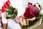 Chị em ơi! Có thích thế không?