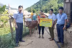 Bí thư huyện ủy Kỳ Sơn chấn chỉnh việc đóng góp núp bóng tự nguyện