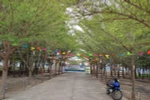 Ảnh tác giả