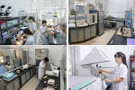Dù tuyển sinh ổn định, ngành Bệnh học Thủy sản vẫn “khát” nhân lực