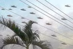 Sau vụ "đĩa bay Thanh Hóa", UFO lại "lũ lượt" trên bầu trời Việt Nam