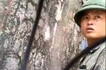 Video: CSCĐ bị tố "mượn tay cò" moi tiền người vi phạm giao thông