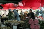Ngắm hoa ở chợ đêm Quảng Bá