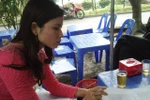 Vụ 'bẻ cong' NĐ Chính phủ: 'Công luận đang giám sát Sở GD Vĩnh Phúc'